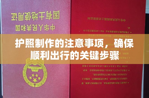 土默特左旗护照制作的注意事项，确保顺利出行的关键步骤