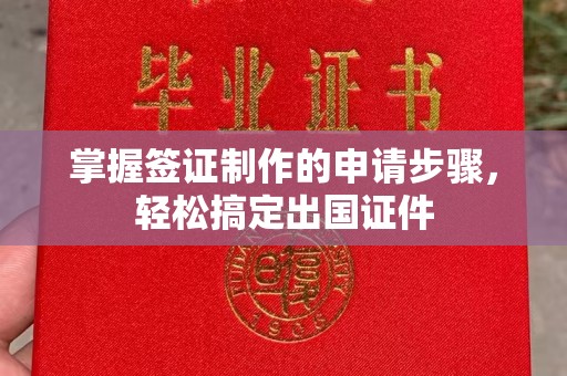 土默特左旗掌握签证制作的申请步骤，轻松搞定出国证件