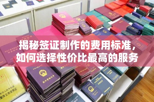 土默特左旗揭秘签证制作的费用标准，如何选择性价比最高的服务？