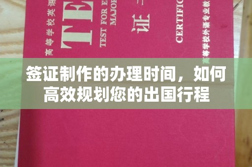 土默特左旗签证制作的办理时间，如何高效规划您的出国行程